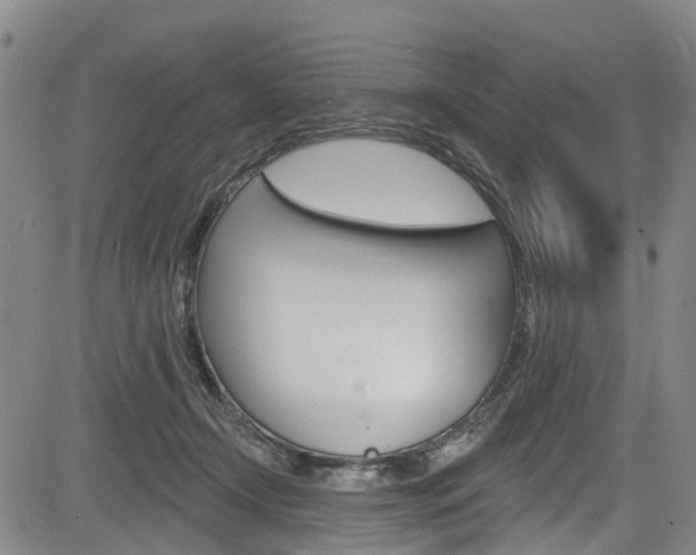 X0000084050366200702160931