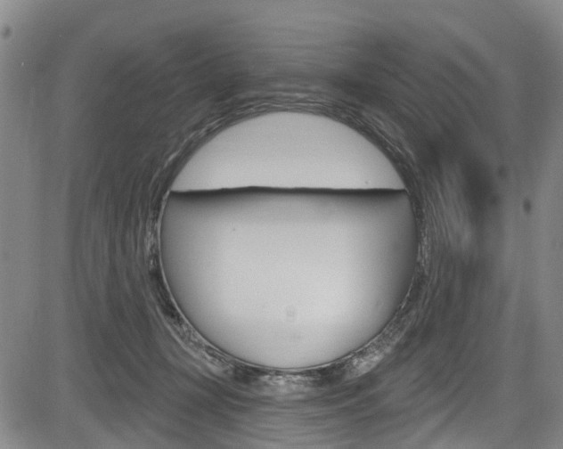 X0000084050367200702160931