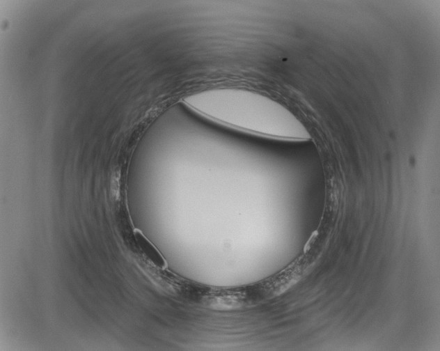 X0000084050368200702160931