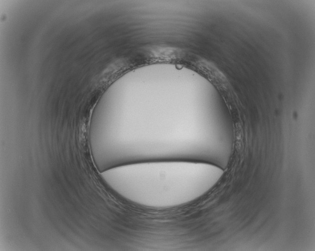 X0000084050369200702160931