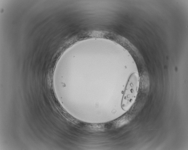 X0000084050370200702160931