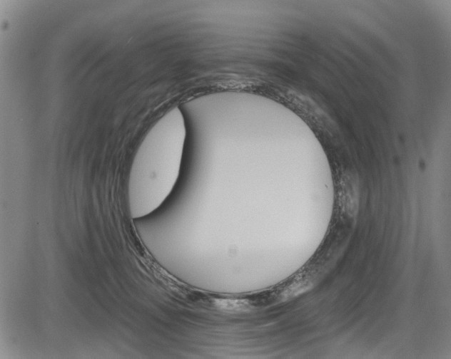 X0000084050371200702160931