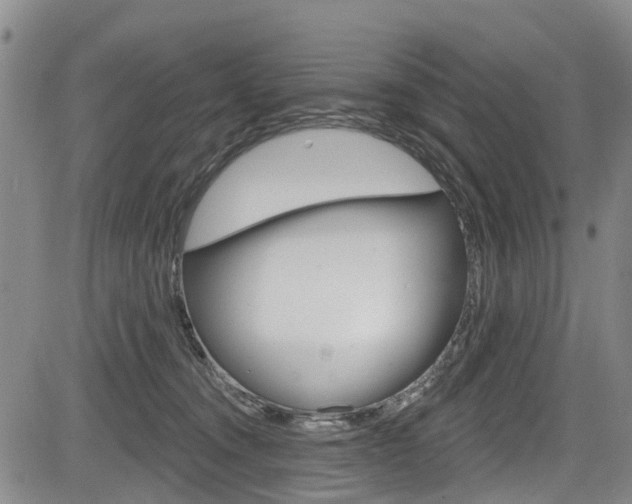 X0000084050372200702160931