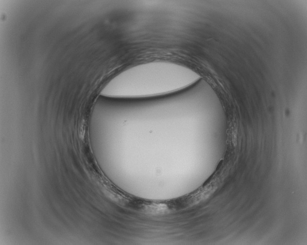 X0000084050374200702160931