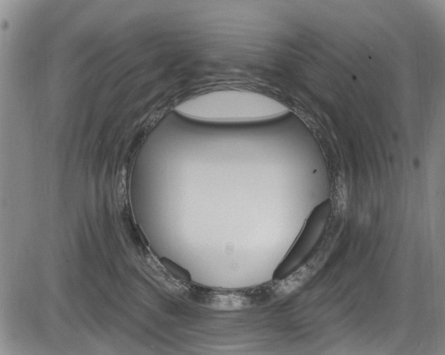 X0000084050376200702160931