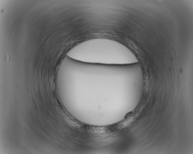 X0000084050377200702160931