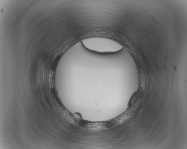 X0000084050378200702160931