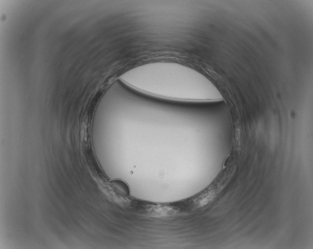 X0000084050379200702160931