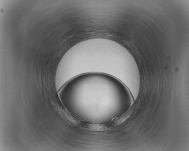 X0000084050380200702160931