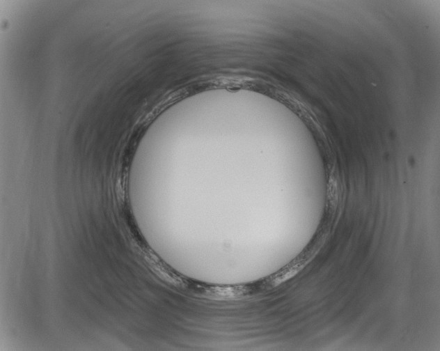 X0000084050381200702160931