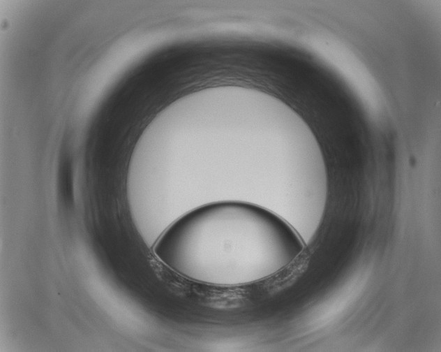 X0000084050382200702160931