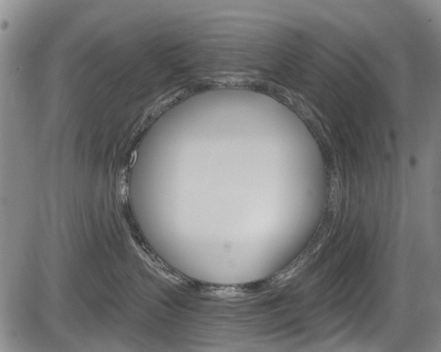 X0000084050383200702160931