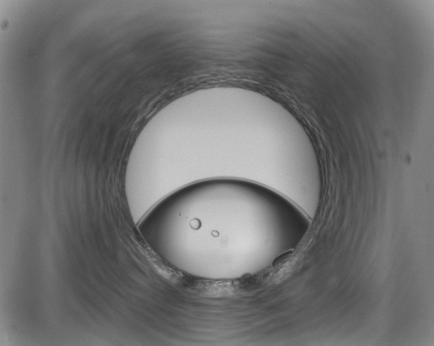 X0000084050384200702160931