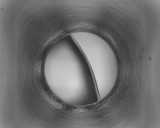 X0000084050404200702160930
