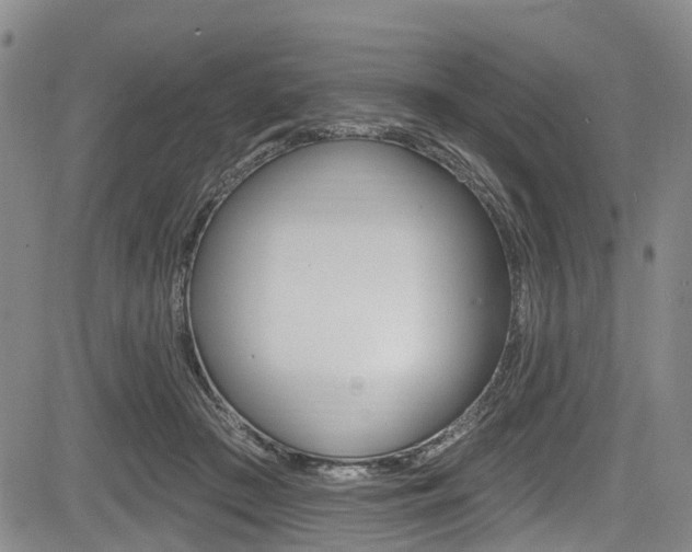 X0000084050409200702160930