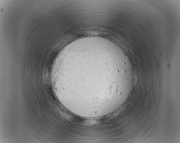 X0000084050418200702160929