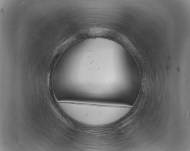 X0000084050454200702160929