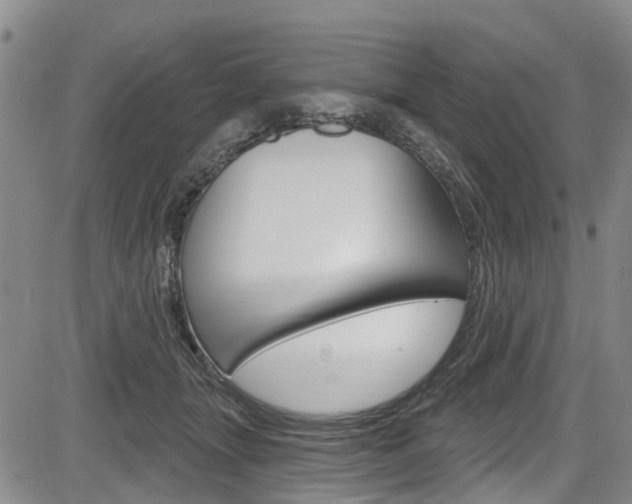 X0000084050463200702160929