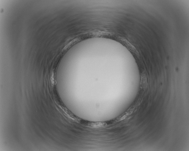 X0000084050479200702160929