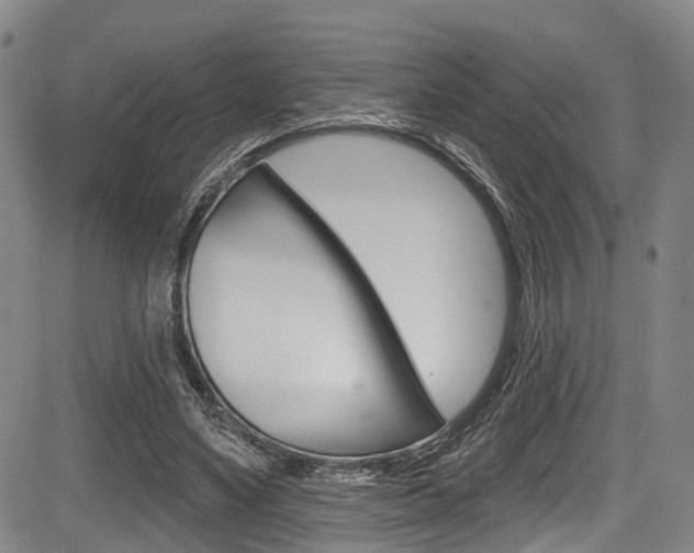 X0000084050491200702160928