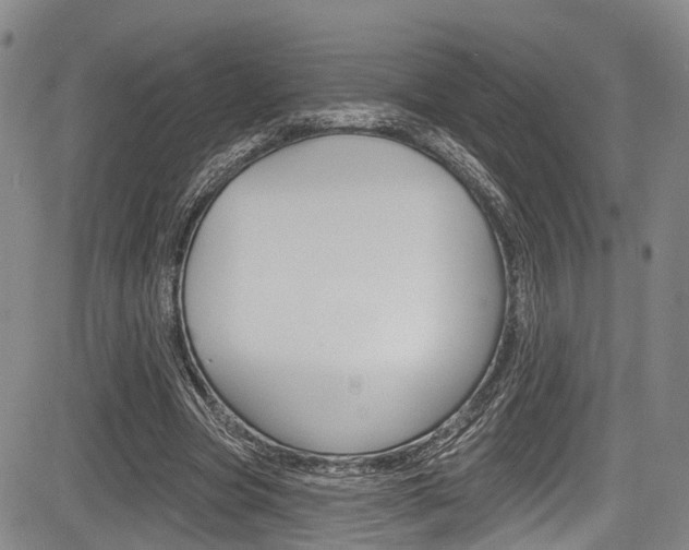 X0000084050537200702160927