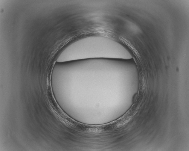 X0000084050541200702160927