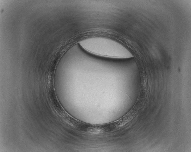 X0000084050551200702160927