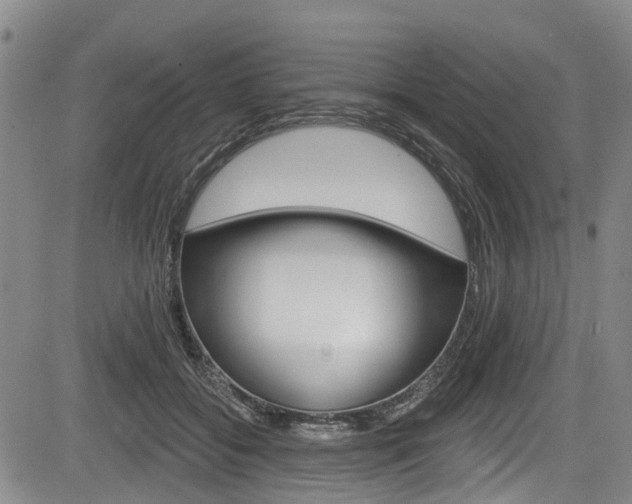 X0000084050556200702160927