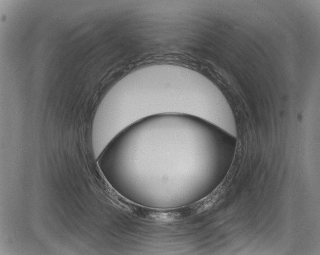 X0000084050558200702160927