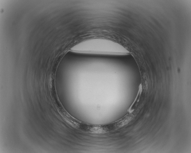 X0000084050562200702160927