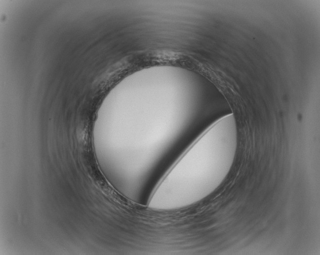 X0000084050608200702160926