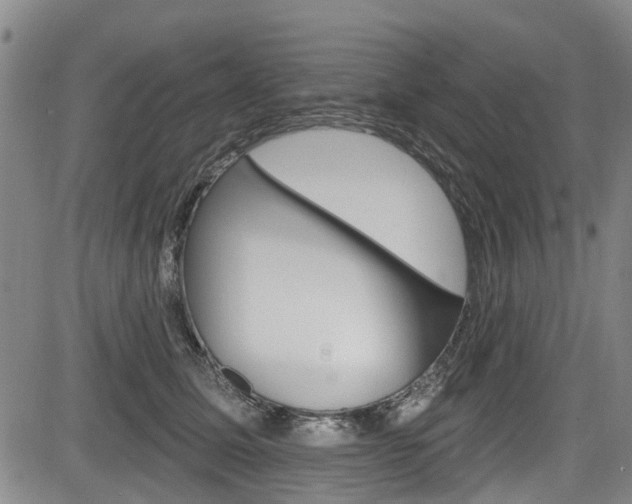 X0000084050611200702160926