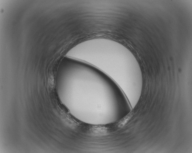 X0000084050617200702160926