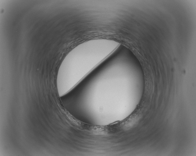 X0000084050624200702160926