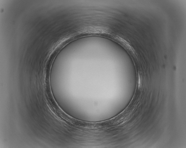 X0000084050627200702160925