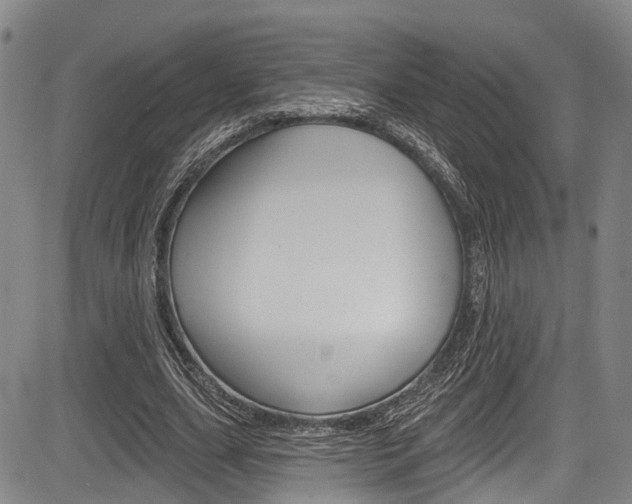 X0000084050631200702160925