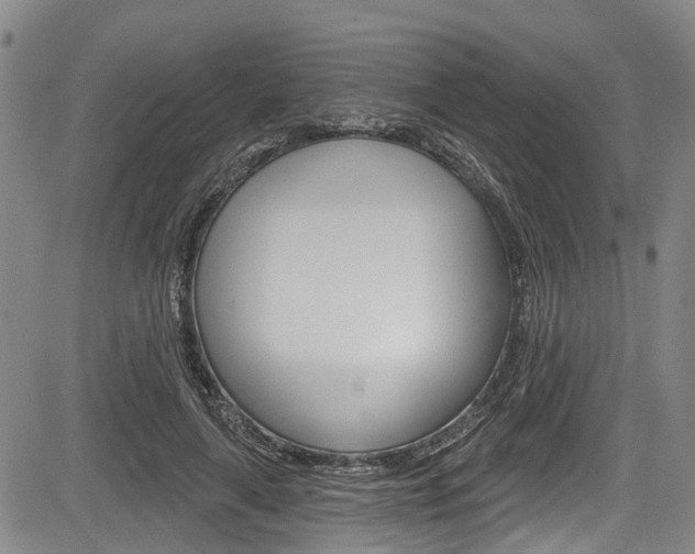 X0000084050643200702160926