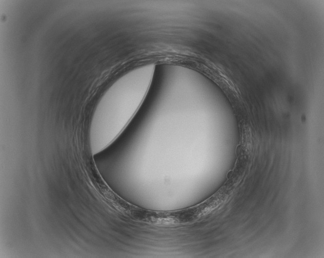 X0000084050645200702160926
