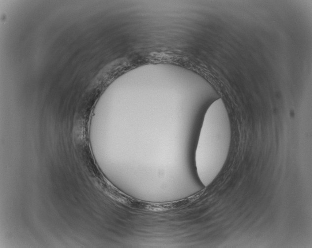 X0000084050706200702160925