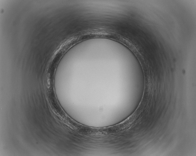 X0000084050731200702160924