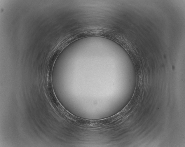 X0000084050739200702160924