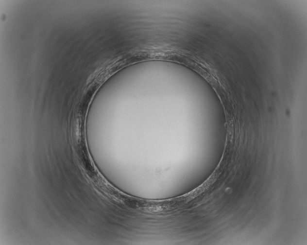 X0000084050740200702160924