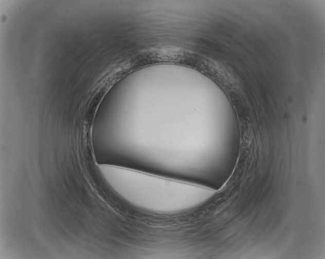 X0000084050744200702160924