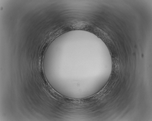 X0000084050745200702160924