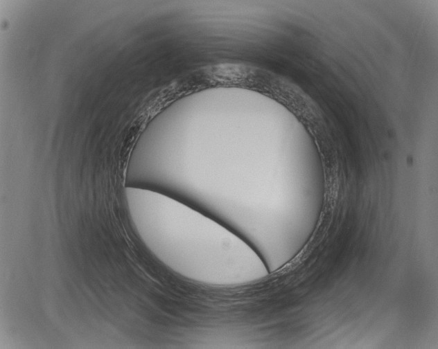 X0000084050749200702160924