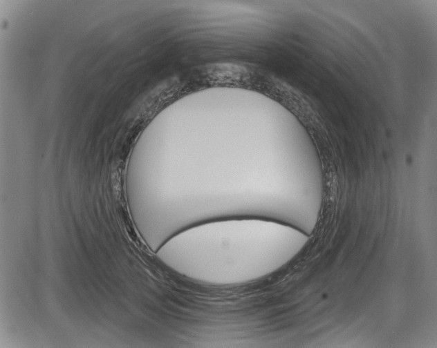 X0000084050753200702160924