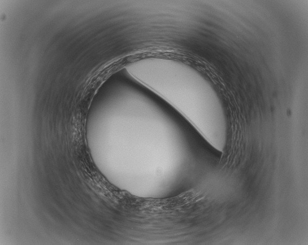 X0000084050773200702160924