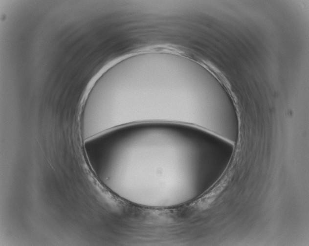 X0000084050816200702160923