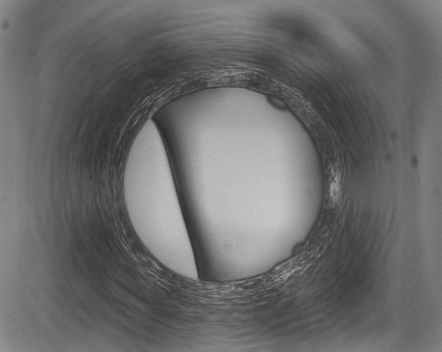 X0000084050819200702160922