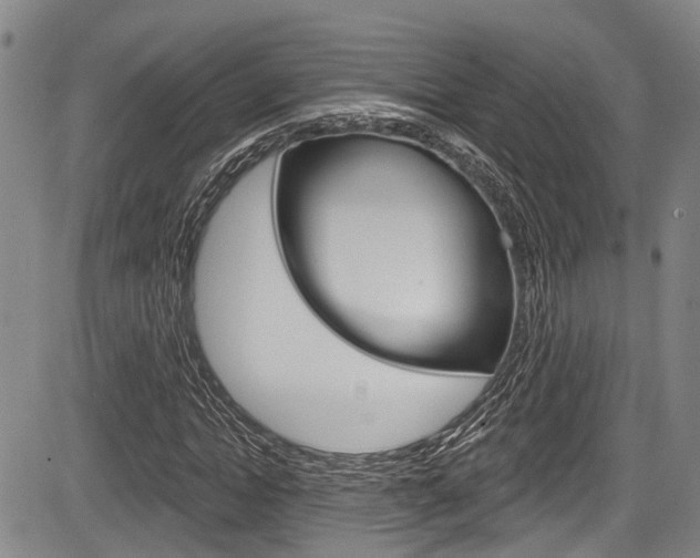 X0000084050822200702160922
